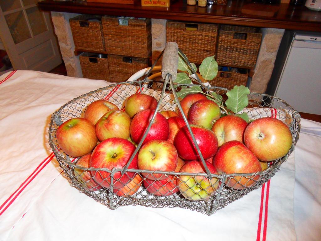 L'Estapade Des Tourelons Bed & Breakfast Saint-Jean-en-Royans Dış mekan fotoğraf